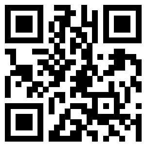 the qr code